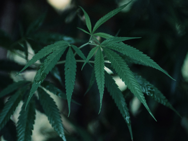 Drug labs in rentals: The signs to watch out for
