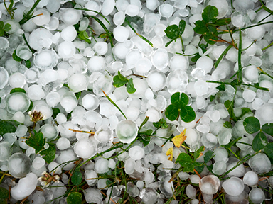 Preparing for hailstorms 