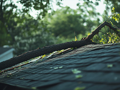 Protect your rental from summer storms