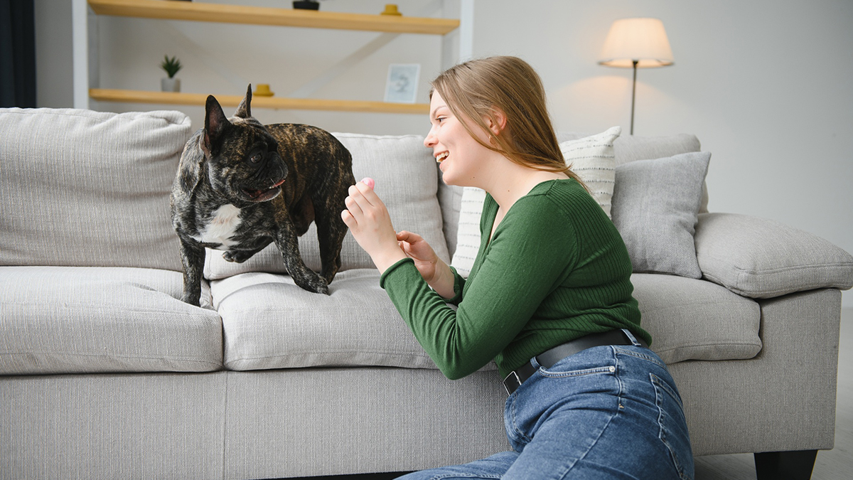 How to make your rental pet friendly